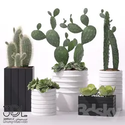 آبجکت گیاه plant 823