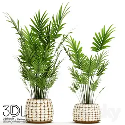 آبجکت گیاه plant 822