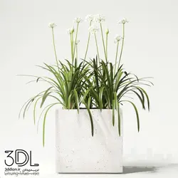 آبجکت گیاه plant 819