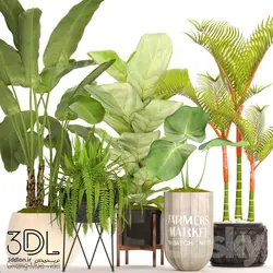 آبجکت گیاه plant 817