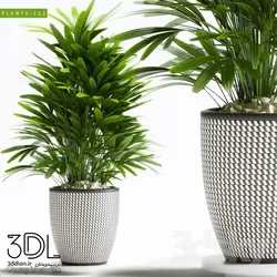 آبجکت گیاه plant 814