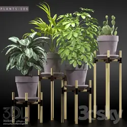 آبجکت گیاه plant 808