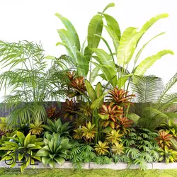 آبجکت گیاه plant 804