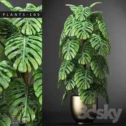 آبجکت گیاه plant 803