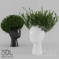 آبجکت گیاه plant 802