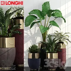 آبجکت گیاه plant 801