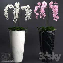 آبجکت گیاه plant 797