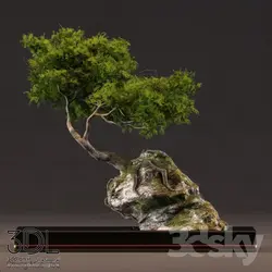 آبجکت گیاه plant 796