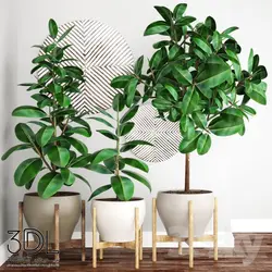 آبجکت گیاه plant 795