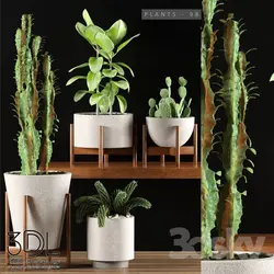 آبجکت گیاه plant 794