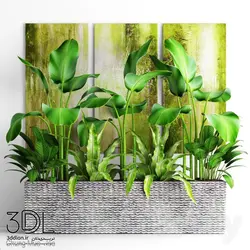 آبجکت گیاه plant 793