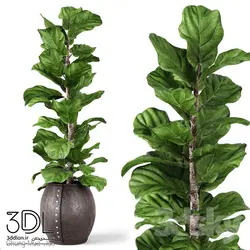 آبجکت گیاه plant 792