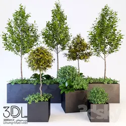 آبجکت گیاه plant 790