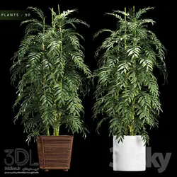 آبجکت گیاه plant 789