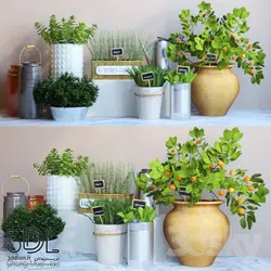 آبجکت گیاه plant 788