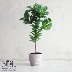 آبجکت گیاه plant 787