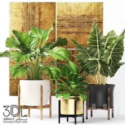 آبجکت گیاه plant 786