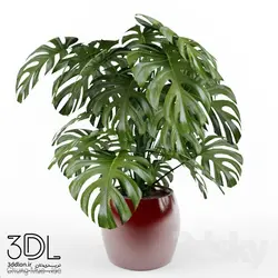 آبجکت گیاه plant 784