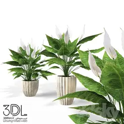 آبجکت گیاه plant 783