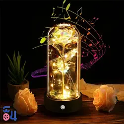 رز جاویدان موزیکال Gold