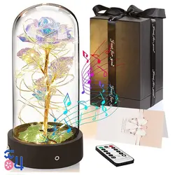 رز جاویدان موزیکال Gold