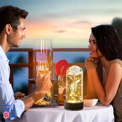 رز جاویدان موزیکال Gold