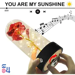 رز جاویدان موزیکال Gold