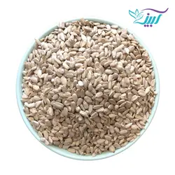 مغز تخمه آفتابگردان خام