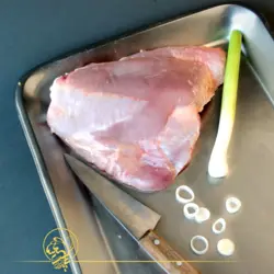 مغز ران بوقلمون