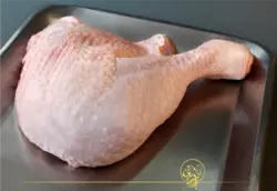 نیم شقه ران بوقلمون