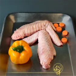 بال بوقلمون