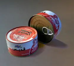 کنسرو بوقلمون