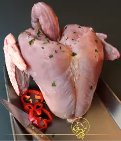 سینه و بال و گردن بوقلمون