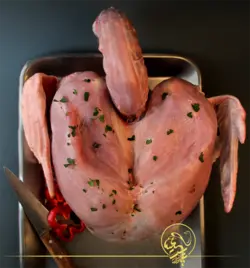 سینه و بال و گردن بوقلمون