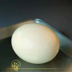 تخم شترمرغ