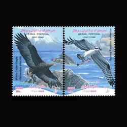 10062 – مجموعه سالانه 1388