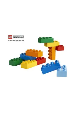 6 آجر (2 بسته 12 آجر لگو) لگو     LEGO 2000556