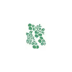 شابلون نقاشی ST-27-24