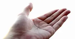 پاورپوینت آناتومی کف دست