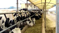 پاورپوینت جايگاه‌هاي دام