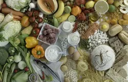 پاورپوینت مواد مغذی انرژی زا