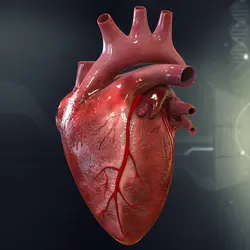 پاورپوینت انواع دیس ریتمی های قلبی   با منشاء گره دهلیزی بطنی