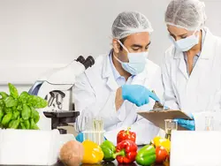 دانلود گزارش آزمایش اندازه گیری درصد رطوبت و مقدار خاکستر ذرت