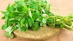 پاورپوینت گیاه شنبلیله