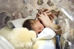 دانلود مقاله درموردتغذیه نوزاد نارس