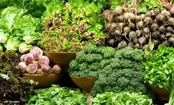 پاورپوینت روش هاي طبقه‌بندي سبزي‌ها