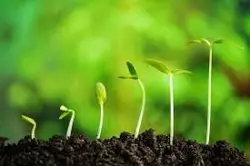 دانلودتحقیق درمورد رابطه ی آب و خاک و گیاه