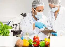 پاورپوینت شیمی مواد غذایی2