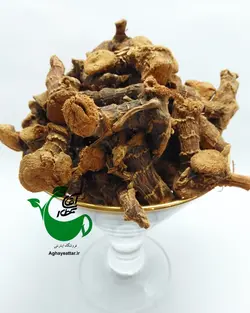 خولنجان