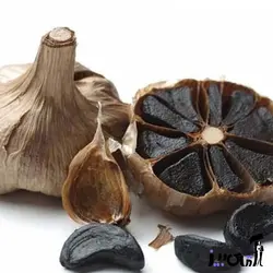 سیر سیاه فرآوری شده دکتر بیز